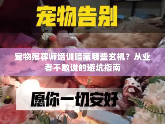 宠物殡葬师培训暗藏哪些玄机？从业者不敢说的避坑指南