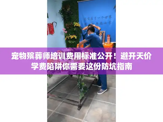 宠物殡葬师培训费用标准公开！避开天价学费陷阱你需要这份防坑指南