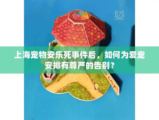 上海宠物安乐死事件后，如何为爱宠安排有尊严的告别？