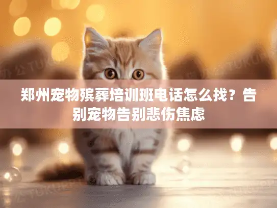 郑州宠物殡葬培训班电话怎么找？告别宠物告别悲伤焦虑