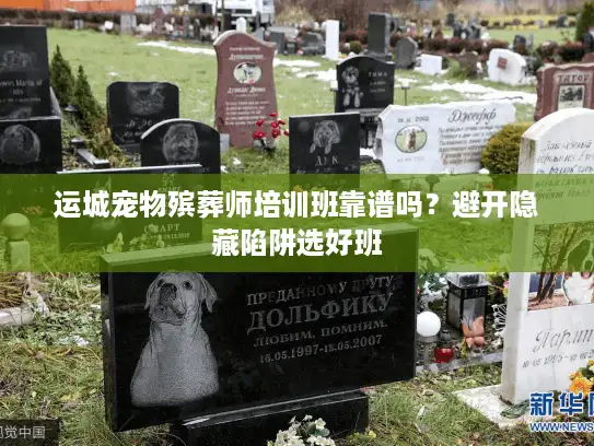 运城宠物殡葬师培训班靠谱吗？避开隐藏陷阱选好班