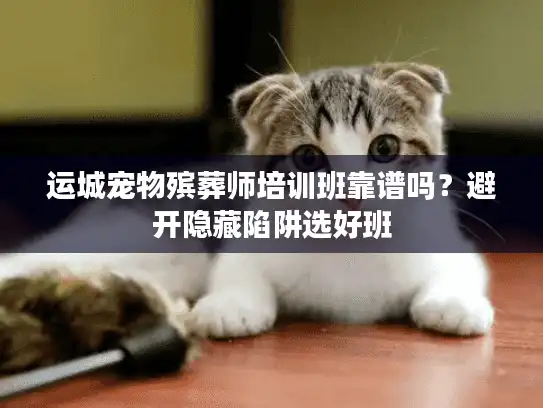 运城宠物殡葬师培训班靠谱吗？避开隐藏陷阱选好班