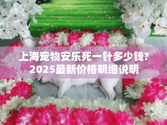 上海宠物安乐死一针多少钱?2025最新价格明细说明