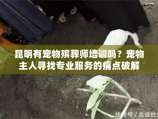 昆明有宠物殡葬师培训吗？宠物主人寻找专业服务的痛点破解
