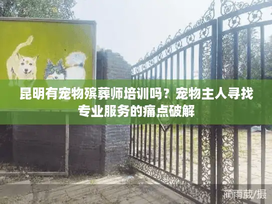 昆明有宠物殡葬师培训吗？宠物主人寻找专业服务的痛点破解