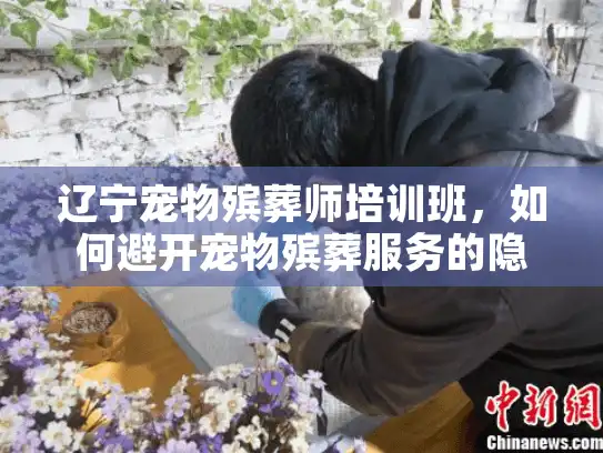 辽宁宠物殡葬师培训班，如何避开宠物殡葬服务的隐藏坑？