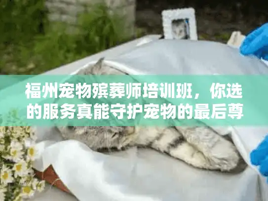 福州宠物殡葬师培训班，你选的服务真能守护宠物的最后尊严吗？