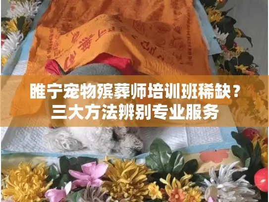 睢宁宠物殡葬师培训班稀缺？三大方法辨别专业服务
