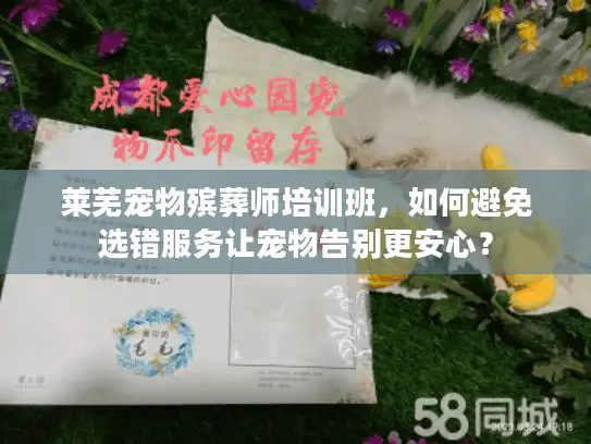 莱芜宠物殡葬师培训班，如何避免选错服务让宠物告别更安心？