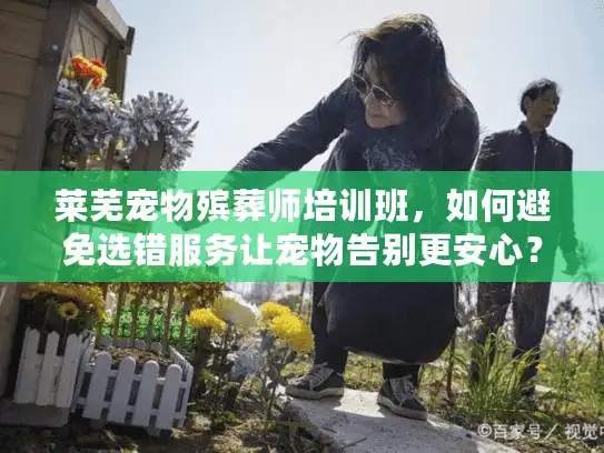 莱芜宠物殡葬师培训班，如何避免选错服务让宠物告别更安心？