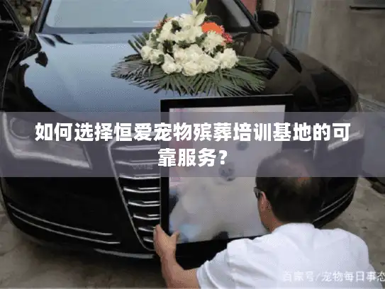 如何选择恒爱宠物殡葬培训基地的可靠服务？