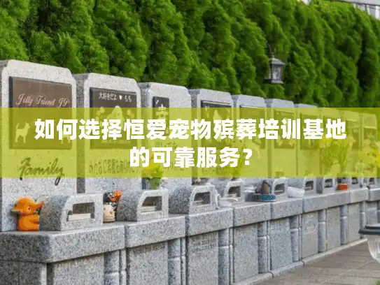 如何选择恒爱宠物殡葬培训基地的可靠服务？