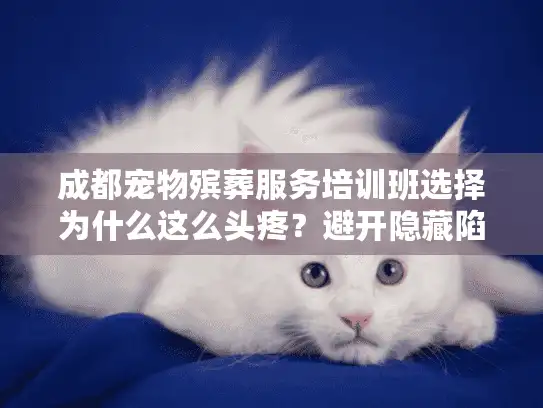 成都宠物殡葬服务培训班选择为什么这么头疼？避开隐藏陷阱的方法在这里