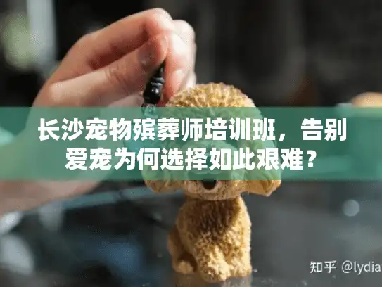 长沙宠物殡葬师培训班，告别爱宠为何选择如此艰难？