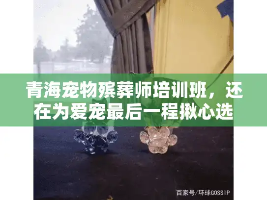 青海宠物殡葬师培训班，还在为爱宠最后一程揪心选错服务吗？