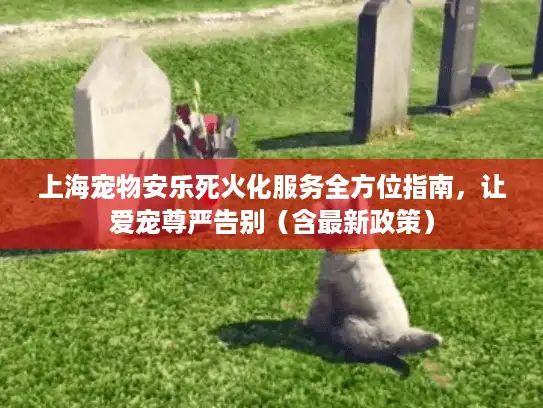 上海宠物安乐死火化服务全方位指南，让爱宠尊严告别（含最新政策）