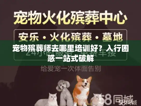 宠物殡葬师去哪里培训好？入行困惑一站式破解
