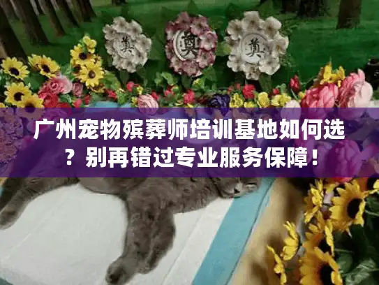 广州宠物殡葬师培训基地如何选？别再错过专业服务保障！