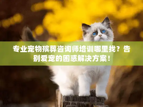 专业宠物殡葬咨询师培训哪里找？告别爱宠的困惑解决方案！
