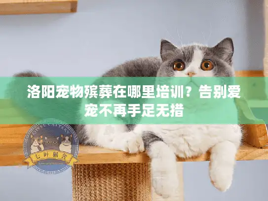 洛阳宠物殡葬在哪里培训？告别爱宠不再手足无措