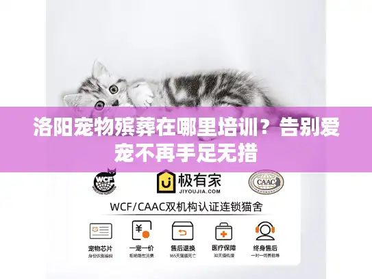 洛阳宠物殡葬在哪里培训？告别爱宠不再手足无措