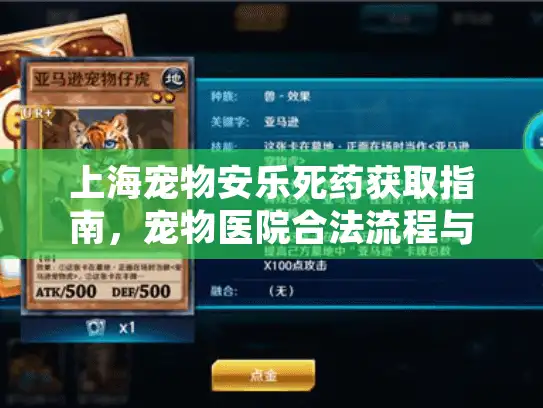 上海宠物安乐死药获取指南，宠物医院合法流程与痛苦缓解方案