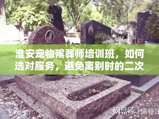 淮安宠物殡葬师培训班，如何选对服务，避免离别时的二次伤害？