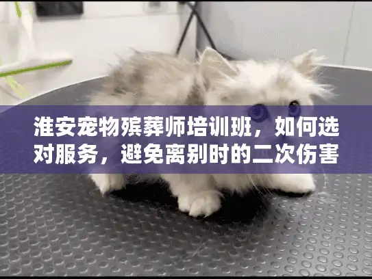淮安宠物殡葬师培训班，如何选对服务，避免离别时的二次伤害？