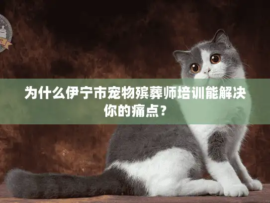 为什么伊宁市宠物殡葬师培训能解决你的痛点？