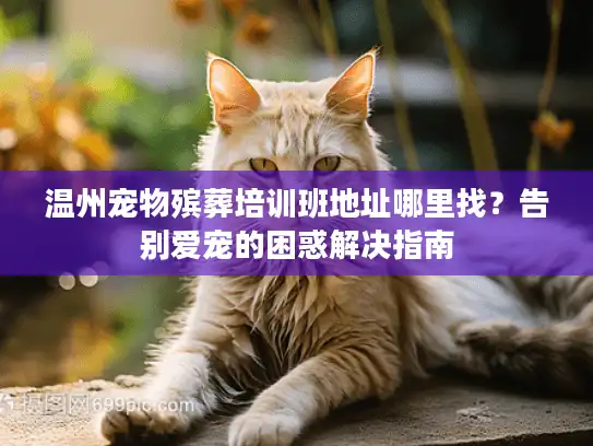 温州宠物殡葬培训班地址哪里找？告别爱宠的困惑解决指南