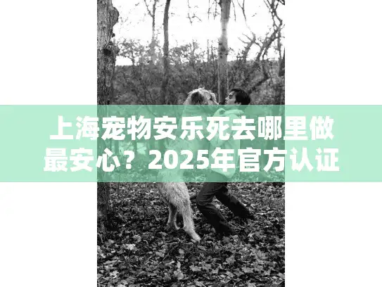 上海宠物安乐死去哪里做最安心？2025年官方认证机构指南