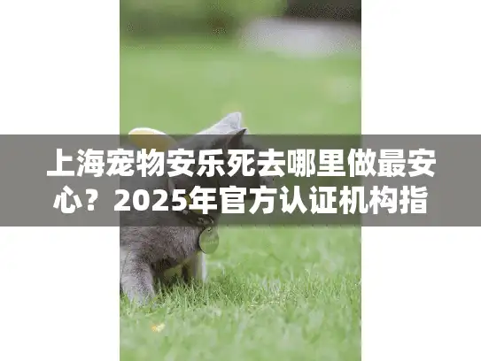 上海宠物安乐死去哪里做最安心？2025年官方认证机构指南
