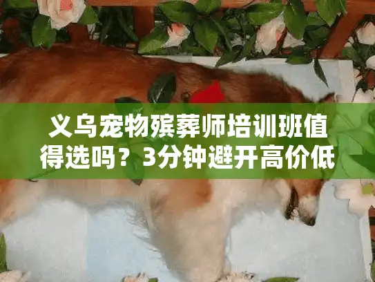 义乌宠物殡葬师培训班值得选吗？3分钟避开高价低质服务陷阱