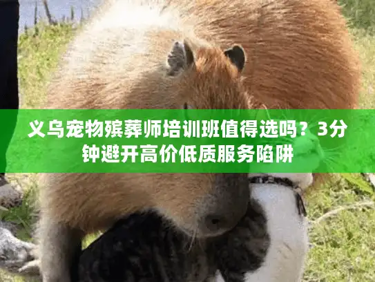 义乌宠物殡葬师培训班值得选吗？3分钟避开高价低质服务陷阱