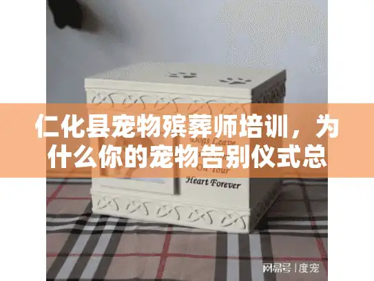 仁化县宠物殡葬师培训，为什么你的宠物告别仪式总缺人情味？