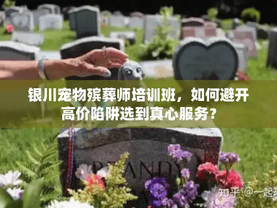 银川宠物殡葬师培训班，如何避开高价陷阱选到真心服务？