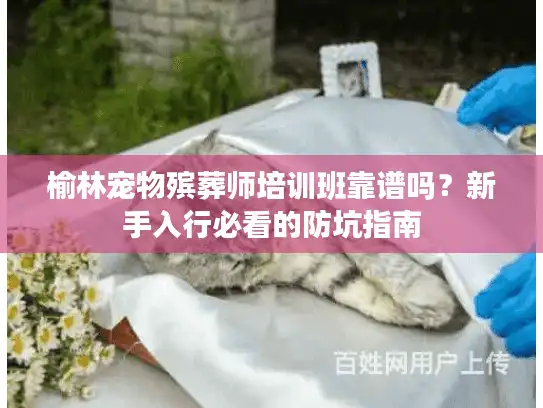 榆林宠物殡葬师培训班靠谱吗？新手入行必看的防坑指南