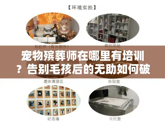 宠物殡葬师在哪里有培训？告别毛孩后的无助如何破局