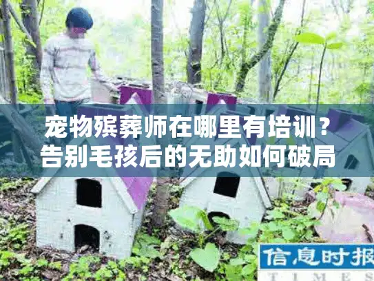 宠物殡葬师在哪里有培训？告别毛孩后的无助如何破局