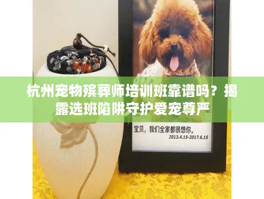 杭州宠物殡葬师培训班靠谱吗？揭露选班陷阱守护爱宠尊严