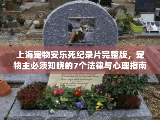 上海宠物安乐死纪录片完整版，宠物主必须知晓的7个法律与心理指南