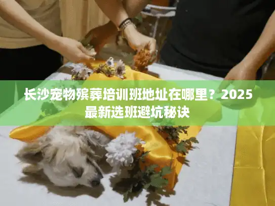 长沙宠物殡葬培训班地址在哪里？2025最新选班避坑秘诀