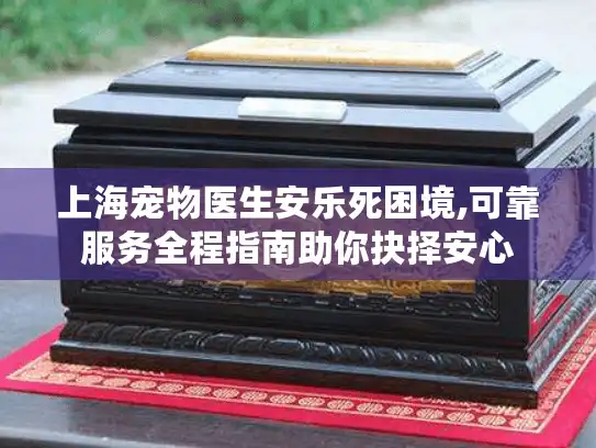 上海宠物医生安乐死困境,可靠服务全程指南助你抉择安心