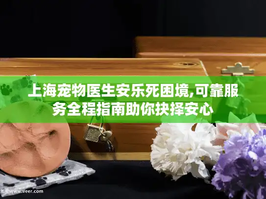 上海宠物医生安乐死困境,可靠服务全程指南助你抉择安心
