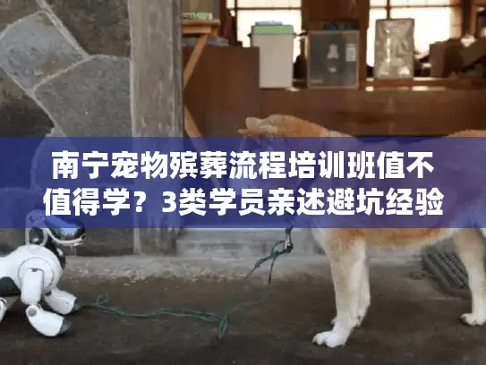 南宁宠物殡葬流程培训班值不值得学？3类学员亲述避坑经验
