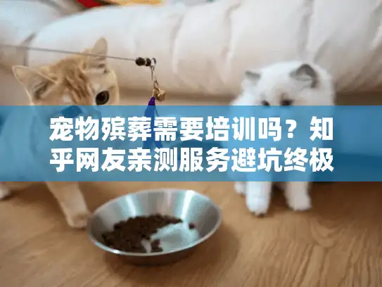 宠物殡葬需要培训吗？知乎网友亲测服务避坑终极指南