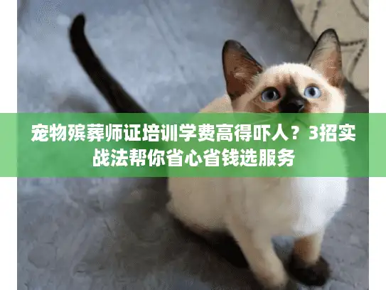 宠物殡葬师证培训学费高得吓人？3招实战法帮你省心省钱选服务