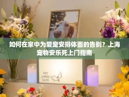 如何在家中为爱宠安排体面的告别？上海宠物安乐死上门指南
