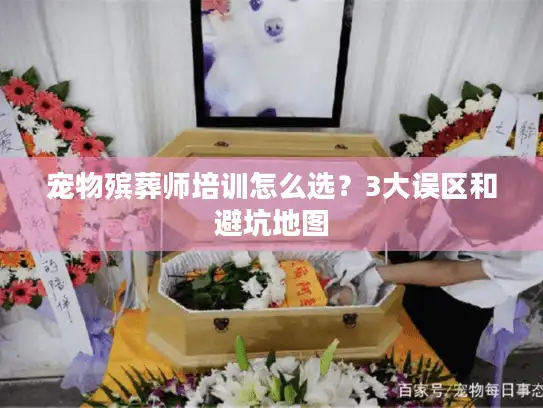 宠物殡葬师培训怎么选？3大误区和避坑地图