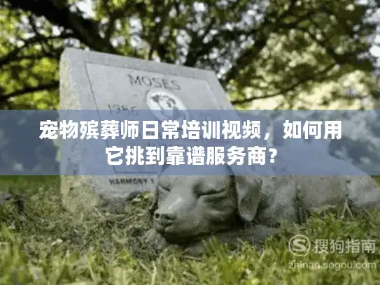 宠物殡葬师日常培训视频，如何用它挑到靠谱服务商？